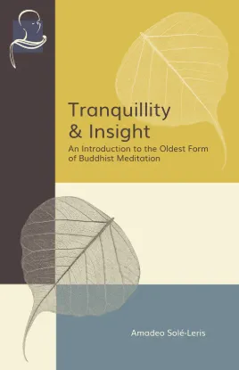 Picture of Tranquility and Insight
